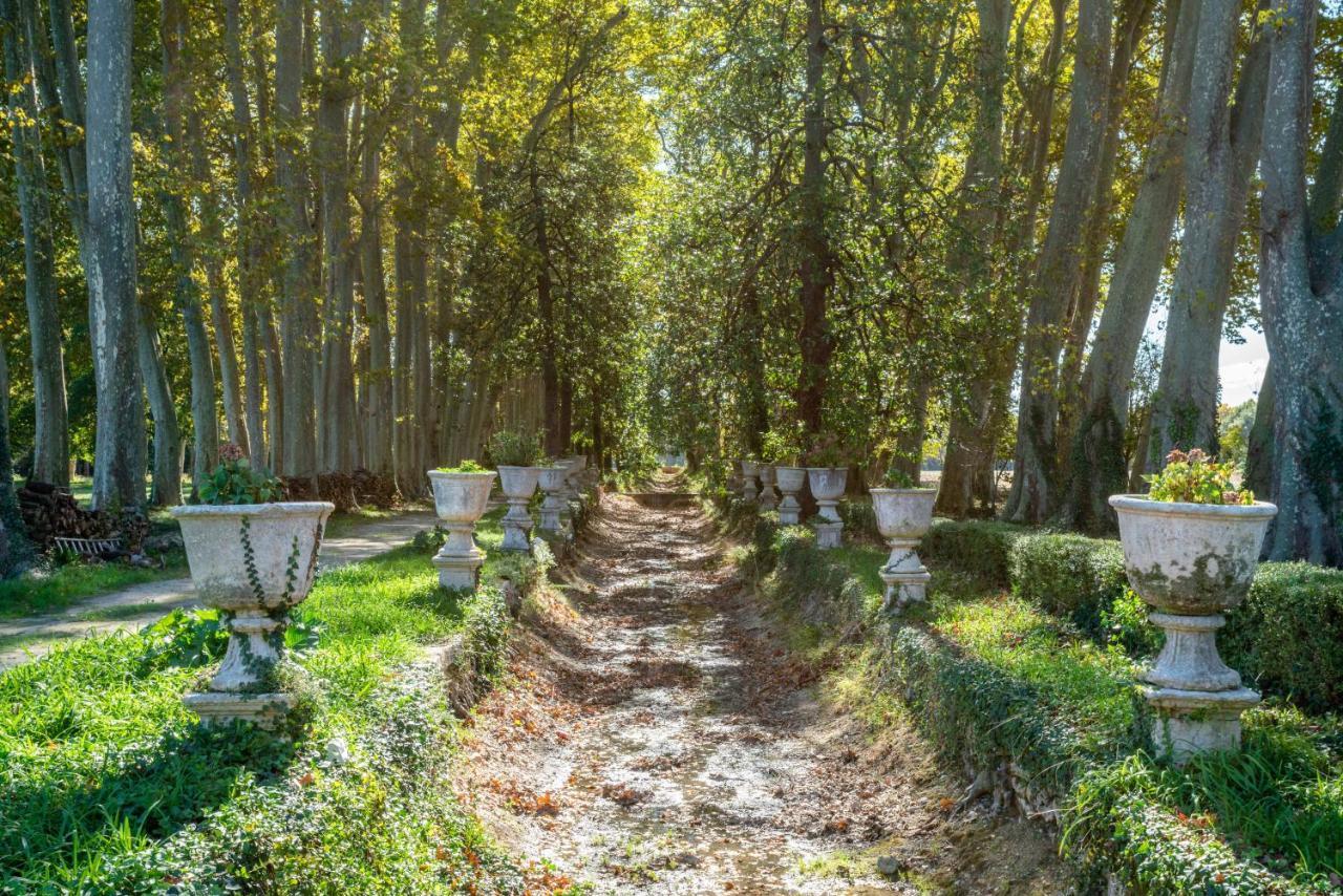 La Chapelle De Fontmagne - Piscine, Tennis Et Grand Parc - Castries Εξωτερικό φωτογραφία